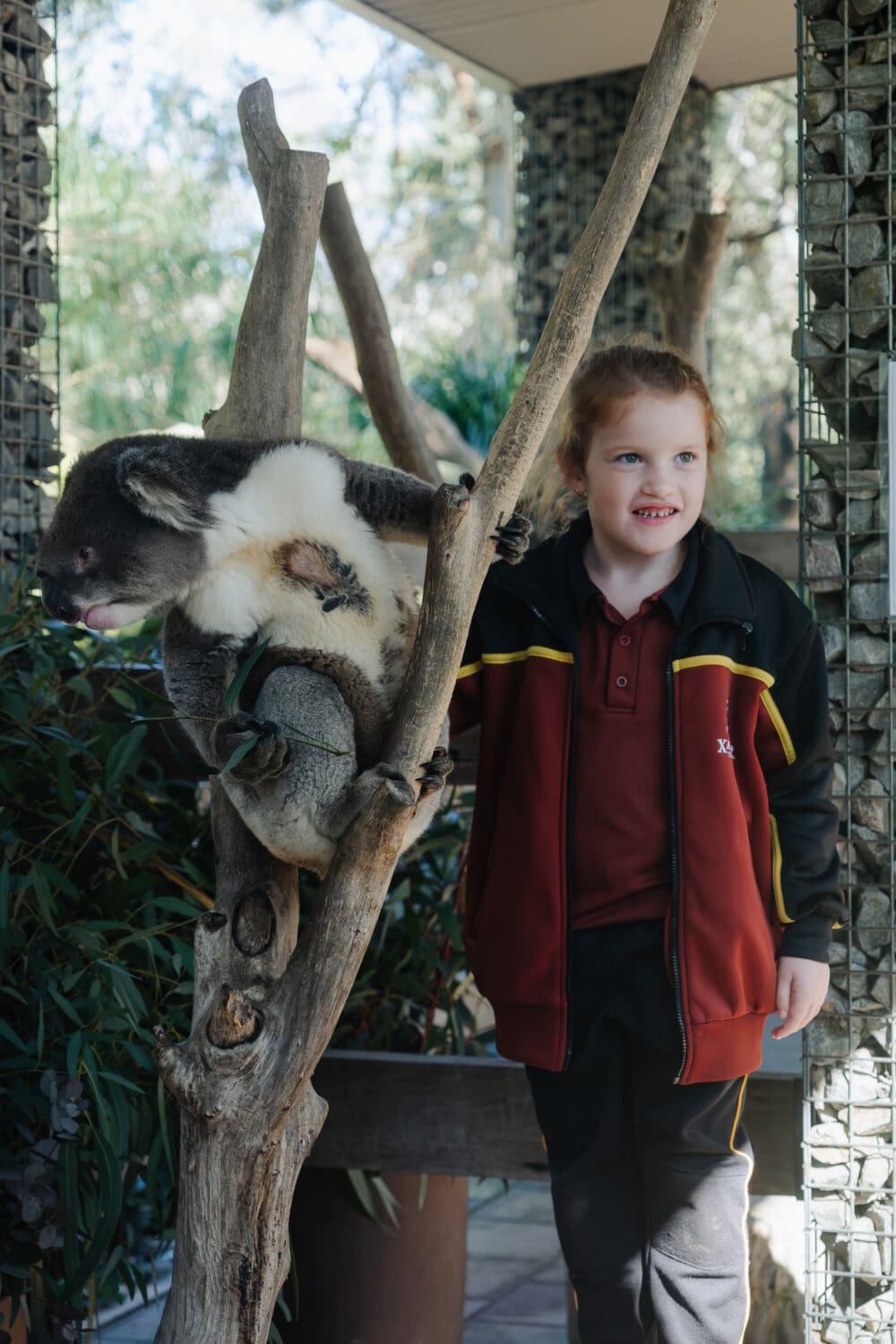 XCTW_Gorge_Wildlife-48
